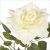 RAMO ROSA GRANDE BIANCO 76cm 0171382 BIZZOTTO