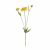 RAMI 3 FIORI SCABIOSA GIALLO 51CM 0172292 BIZZOTTO