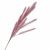 RAMO PAMPAS FUCSIA ALTEZZA 100CM 3633010000