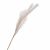 RAMO PAMPAS NATURALE ALTEZZA 90CM 3633070000