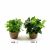 PIANTA VERDE IN VASO H.25cm 18790