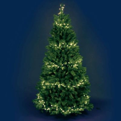 CATENA 1000 LED BIANCO CALDO 25 metri  34808 LOTTI