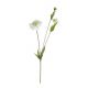 RAMO 3 FIORI SCABIOSA BIANCO 51CM 0172290 BIZZOTTO