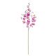 HARMONY ORCHIDEA MALVA H81CM BIZZOTTO 0172411