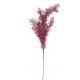 RAMO PAMPAS FUCSIA PIUMA CMH96 3633280000 VACCHETTI