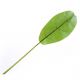 FOGLIA DI BANANO 40639 117cm 