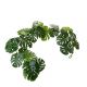 GHIRLANDA MONSTERA LUNGA 130 CM CON 24 FOGLIE DINO BIANCHI GV015