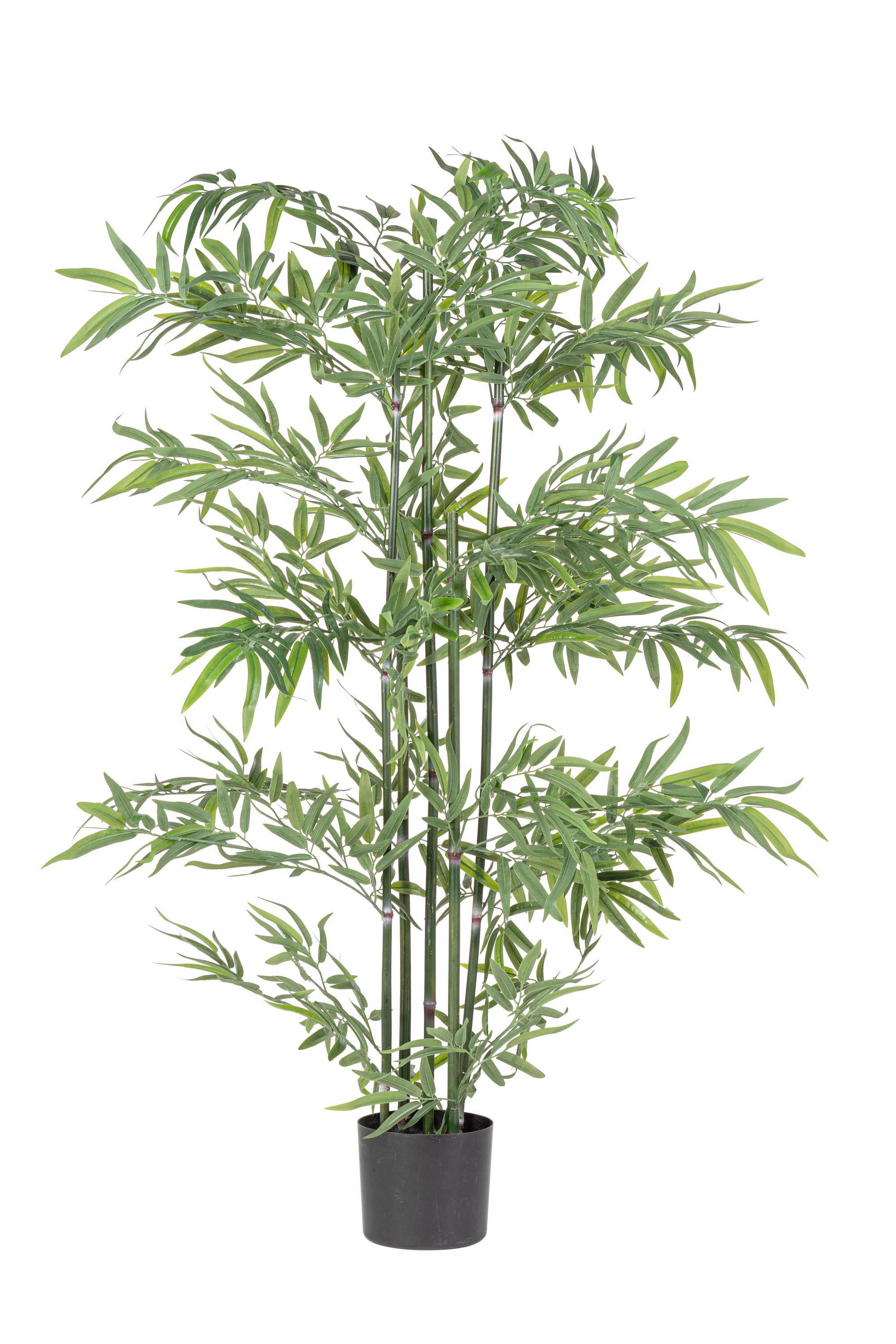 PIANTA BAMBOO CON VASO H150 0172980
