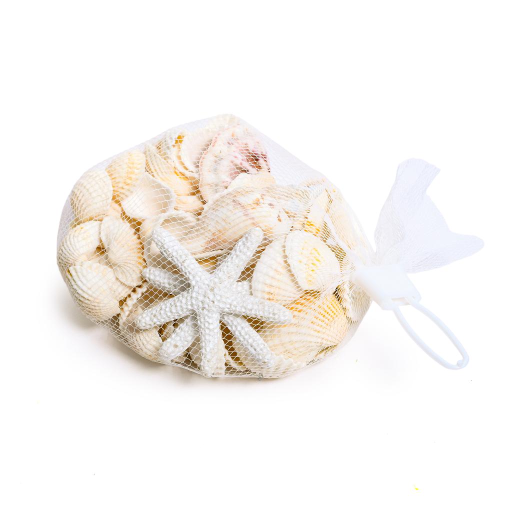 CONCHIGLIE DECORATIVE IN RETE 13620
