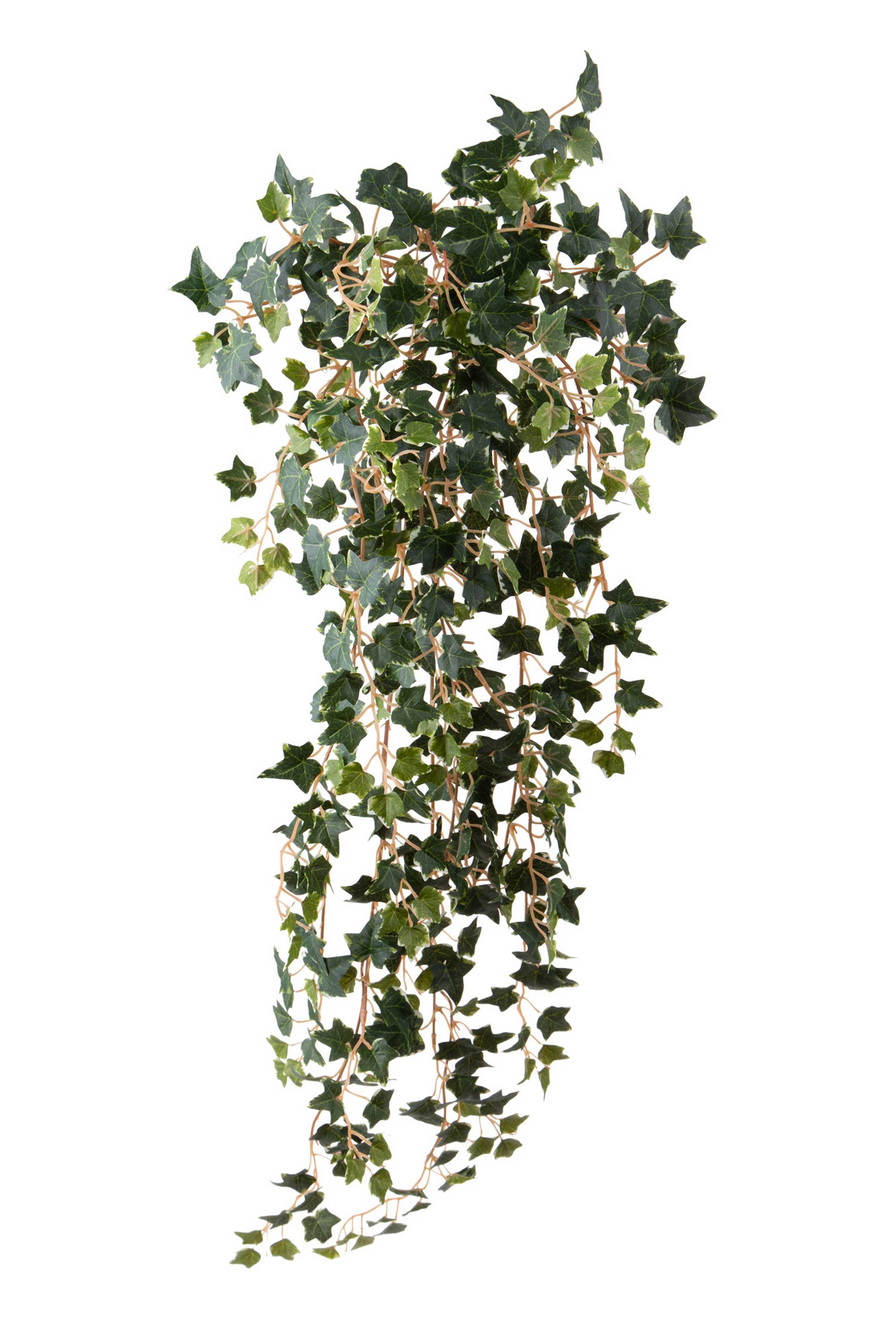CADENTE MINI EDERA 498 FGL 90CM GB022