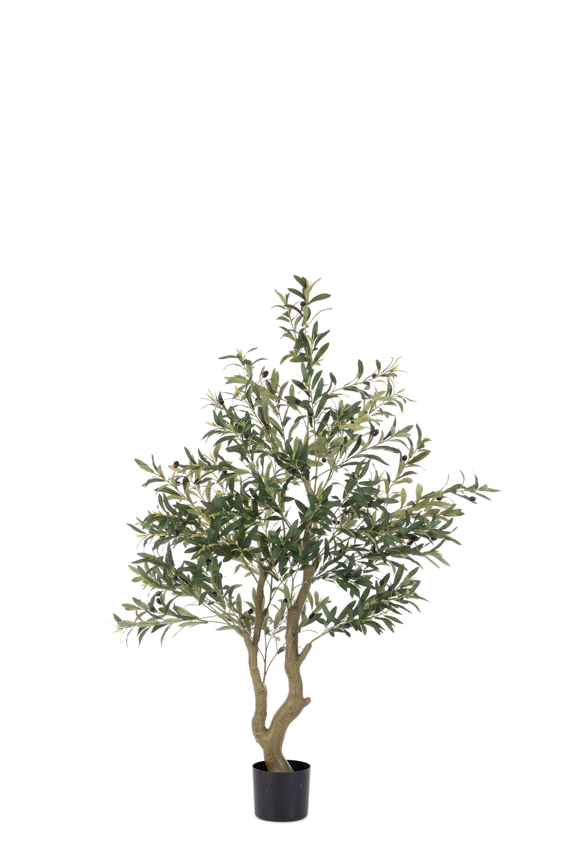 PIANTA ULIVO CON VASO H150 0173148