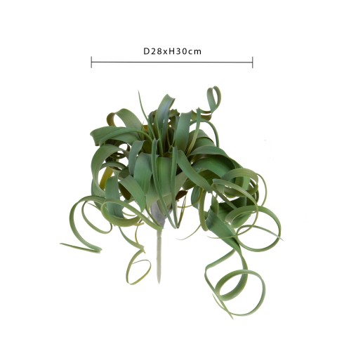 RAMO TILLANDSIA H.30 CM PG003