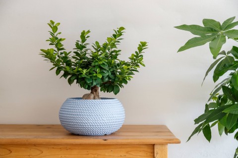 VASO CIOTOLA LINEA BALI VASAR CORDA, CIOCORD M40C67