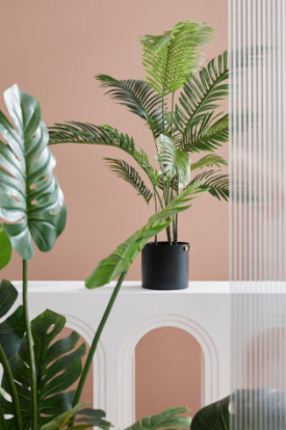 PIANTA FILODENDRO CON VASO H150 0172971