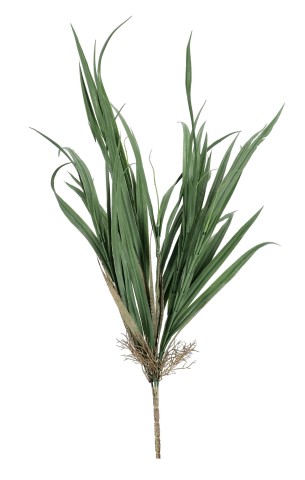 RAMO ELARYN VERDE H74CM