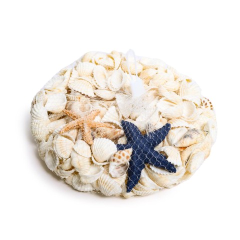 CONCHIGLIE DECORATIVE IN RETE 13606