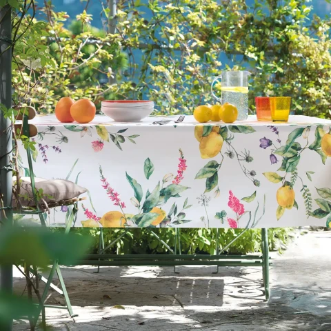 CITRUS TOVAGLIA RETTANGOLARE 12 POSTI VALLESUSA