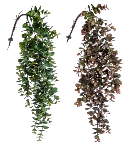 RAMO CADENTE 970 H81CM ASS2