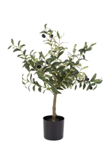 PIANTA ULIVO CON VASO H65 0173146