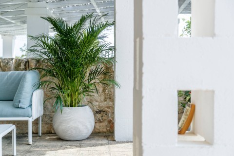 SFERA BALI-SFERCORD 40 CORDA M40C67