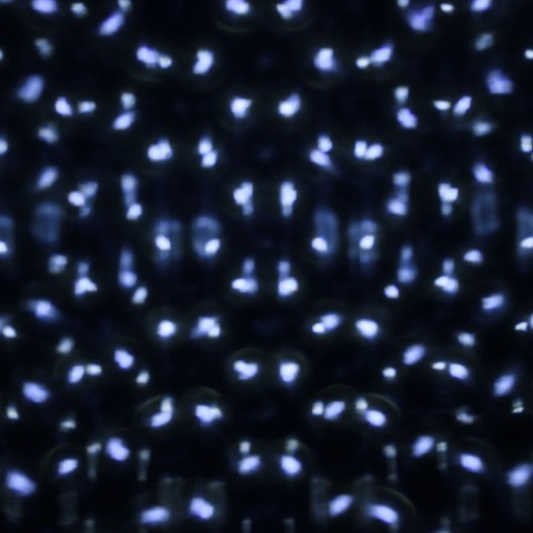GARDEN PROIETTORE NEVICATA DI PUNTI LED BIANCO 55599