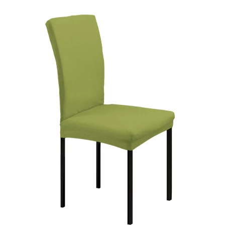 COMODO COPPIA COPRISEDIA CON SPALLIERA DP0156 VERDE