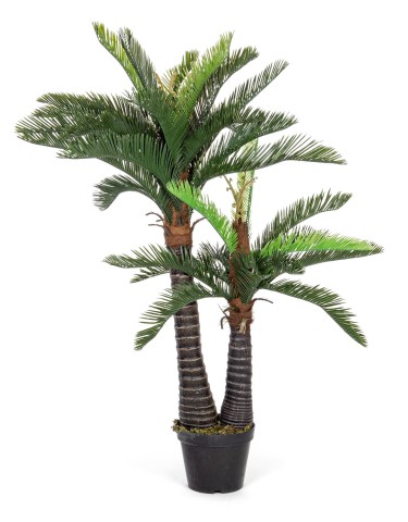 PIANTA PALMA CON VASO H150 0172628