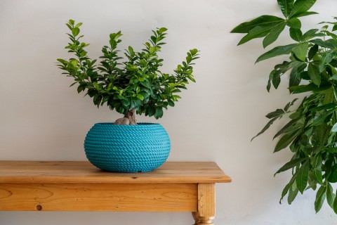 CIOTOLA BALI CIOCORD 50 GIADA