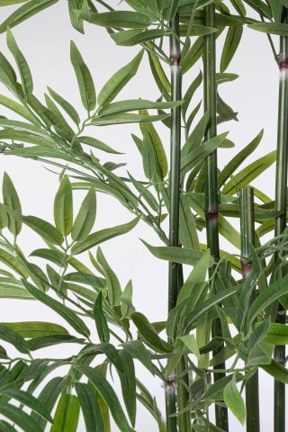 PIANTA BAMBOO CON VASO H150 0172980
