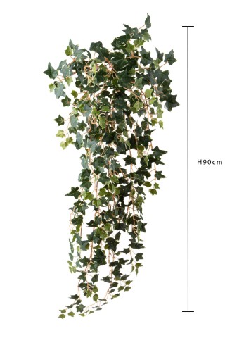 CADENTE MINI EDERA 498 FGL 90CM GB022