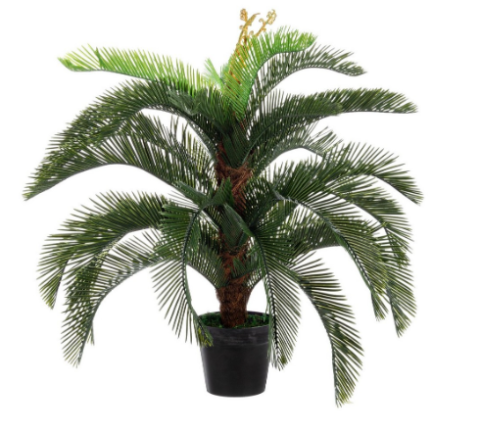 PIANTA BAMBOO CON VASO H150 0172980