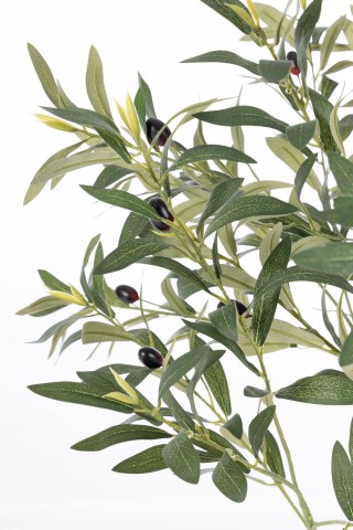 PIANTA ULIVO CON VASO H90 0173147