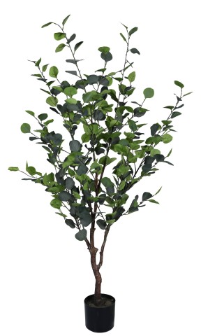 PIANTA EUCALIPTO CON VASO H150 0173042