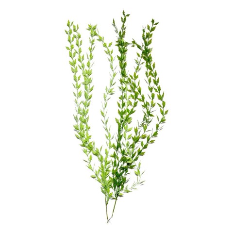 RAMO CADENTE FOGLIE VERDI IN PLASTICA E METALLO H.100 cm 34819