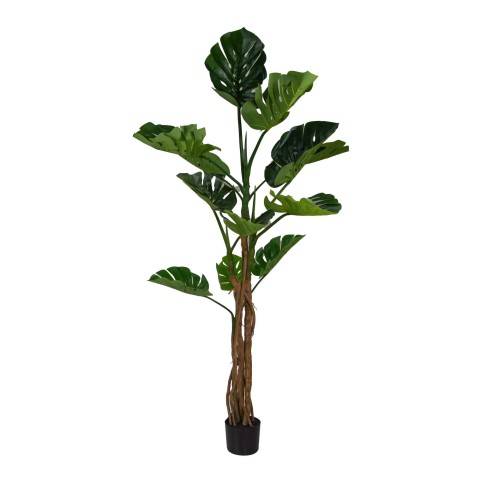 PIANTA ARTIFICIALE PLASTICA MONSTERA H180