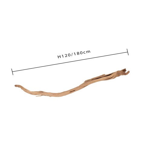 GHOSTWOOD 90/120CM. C.A. CREMA DN142