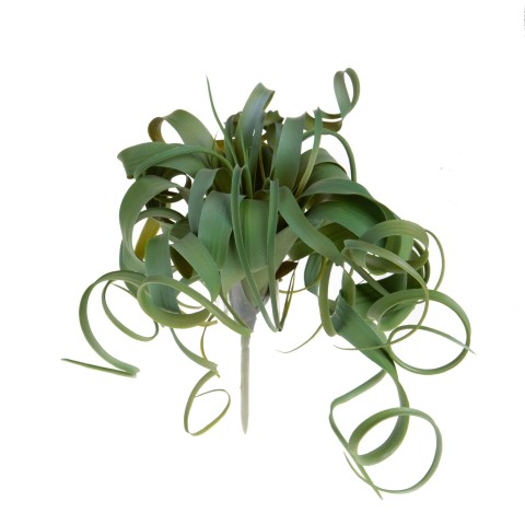 RAMO TILLANDSIA H.30 CM PG003