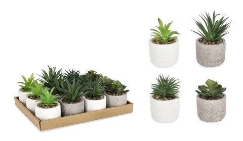 VASO PIANTINA KENIA ASSORTITA 0173181