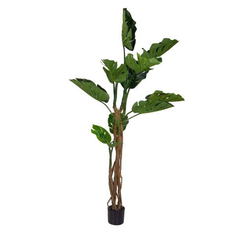 PIANTA ARTIFICIALE PLASTICA MONSTERA H180