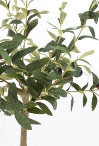 PIANTA ULIVO CON VASO H65 0173146