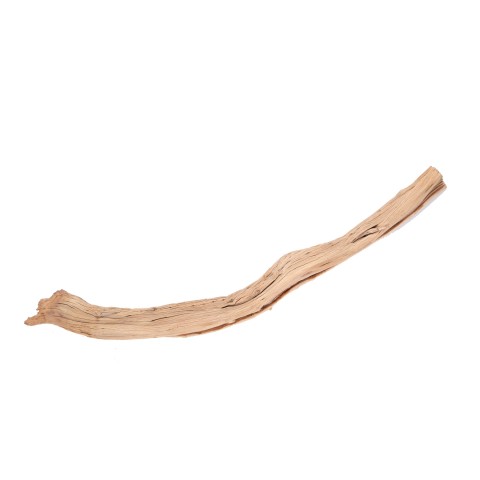 GHOSTWOOD 90/120CM. C.A. CREMA DN142