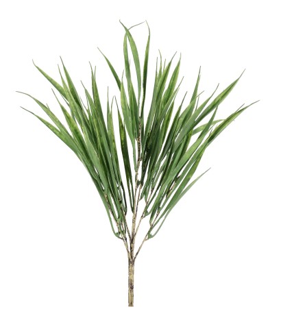 PICK HAKONECHLOA LEYNA VERDE H48CM