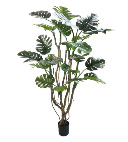 PIANTA MONSTERA CON VASO H210 0173039