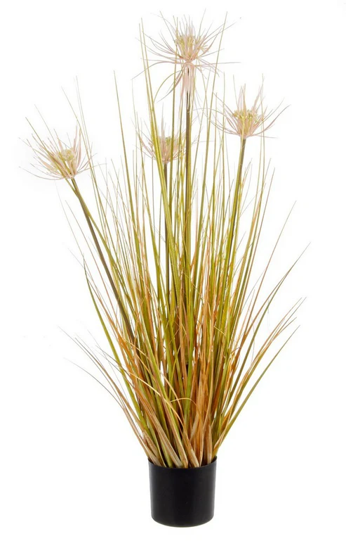 PIANTA DESERTO PAGLIA H90 0172476