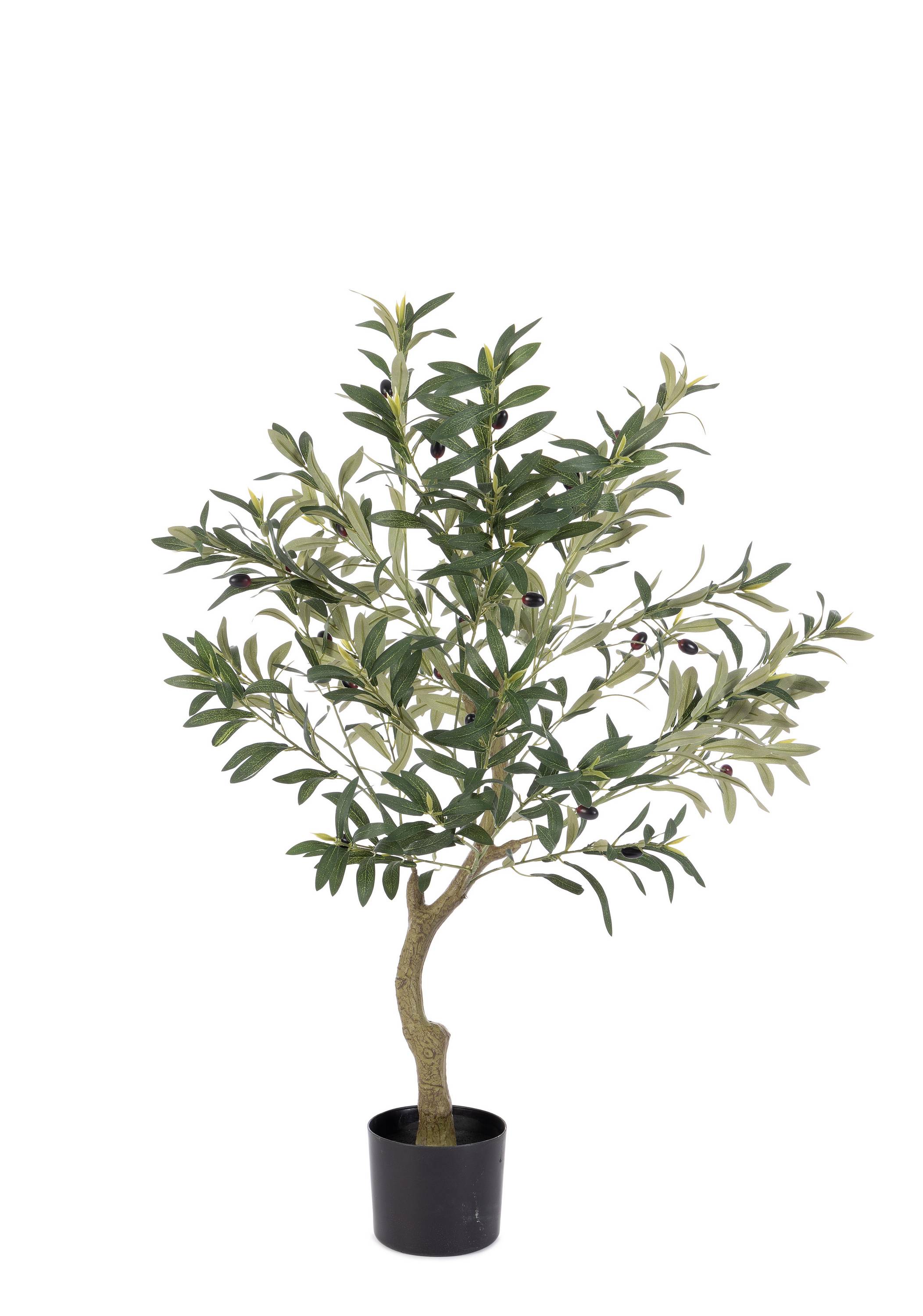 PIANTA ULIVO CON VASO H90 0173147