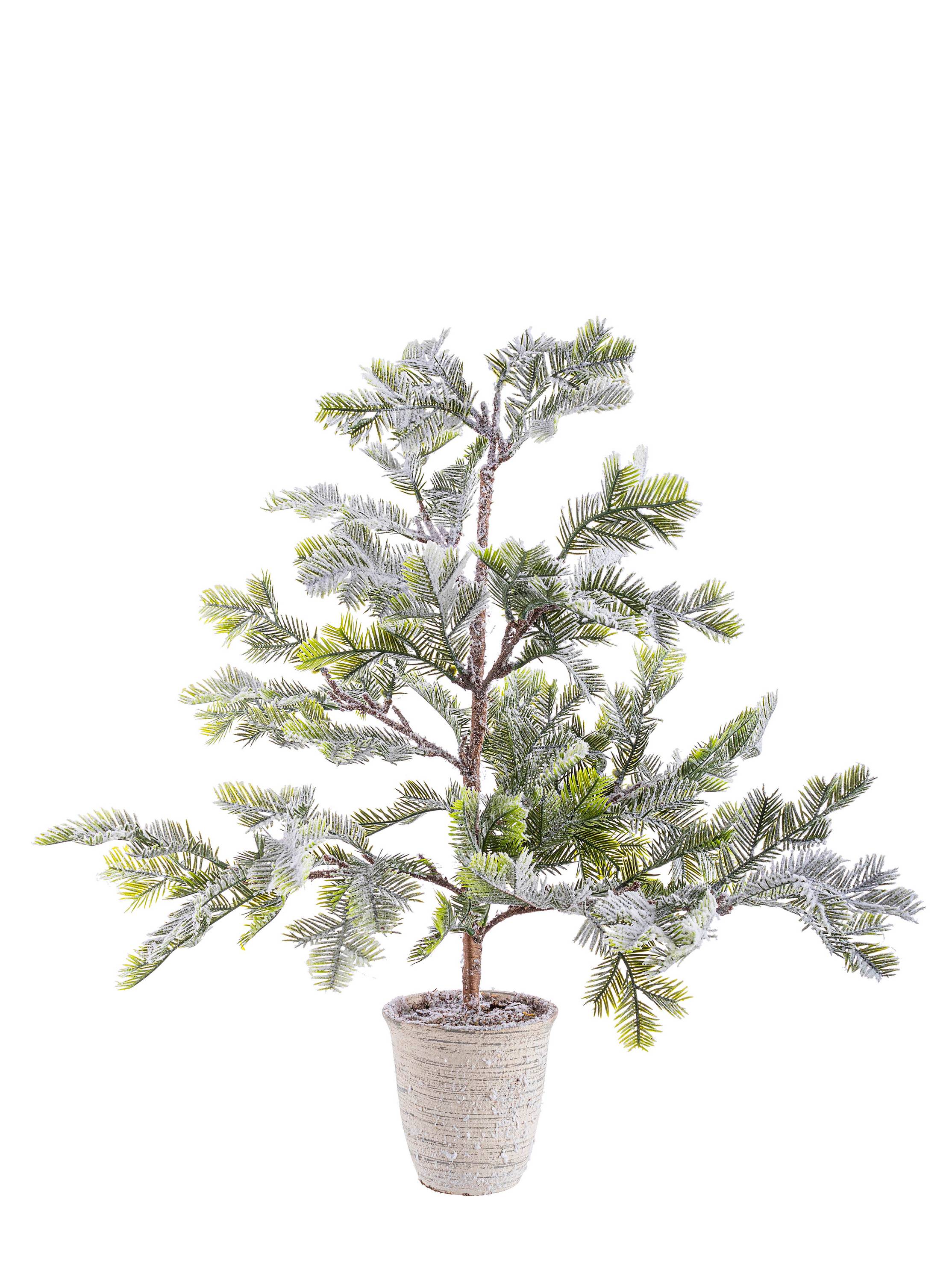 PINO ICEBERG INNEVATO C-VASO H60 BIZZOTTO