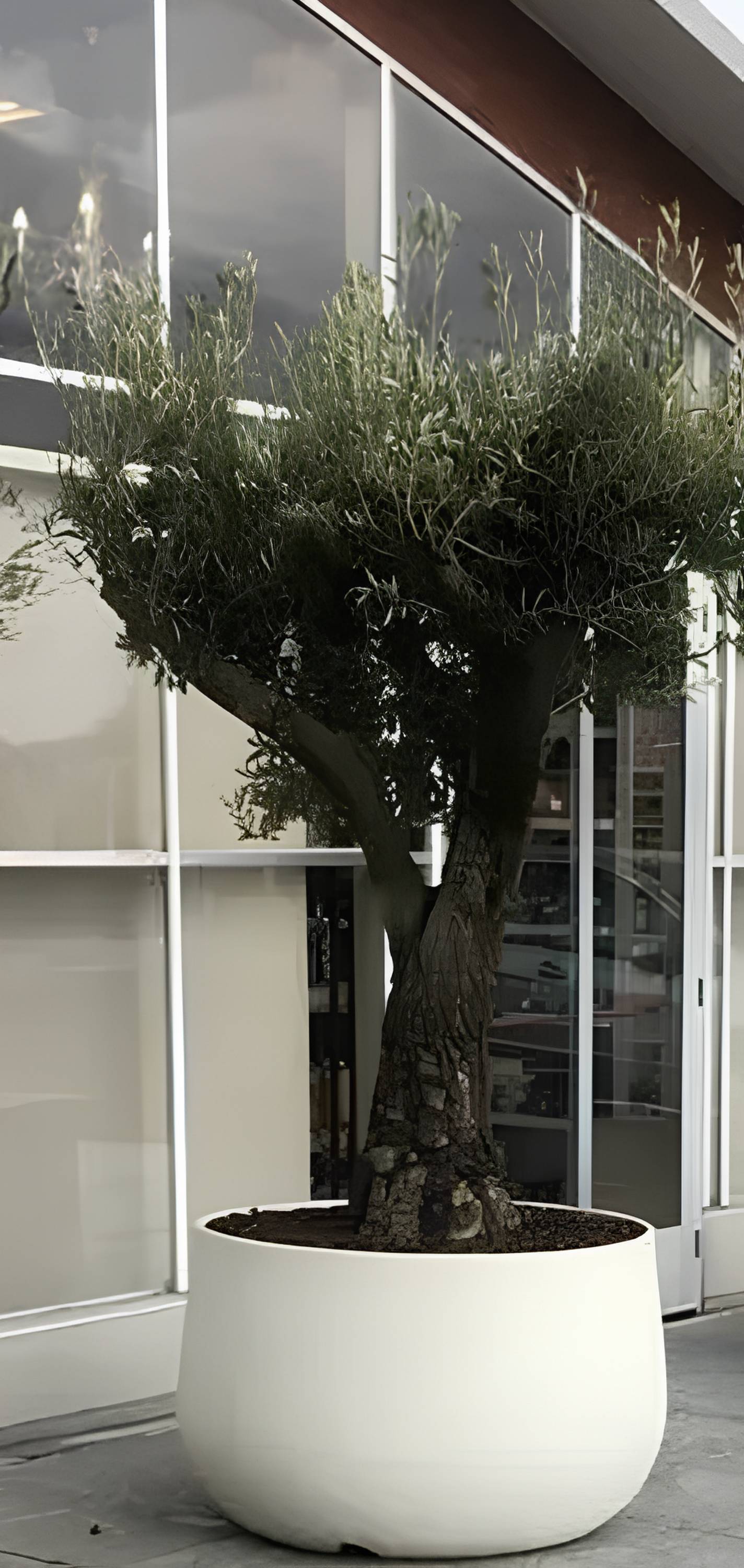 VASO URBANO ACAYA 60 BI PERLA