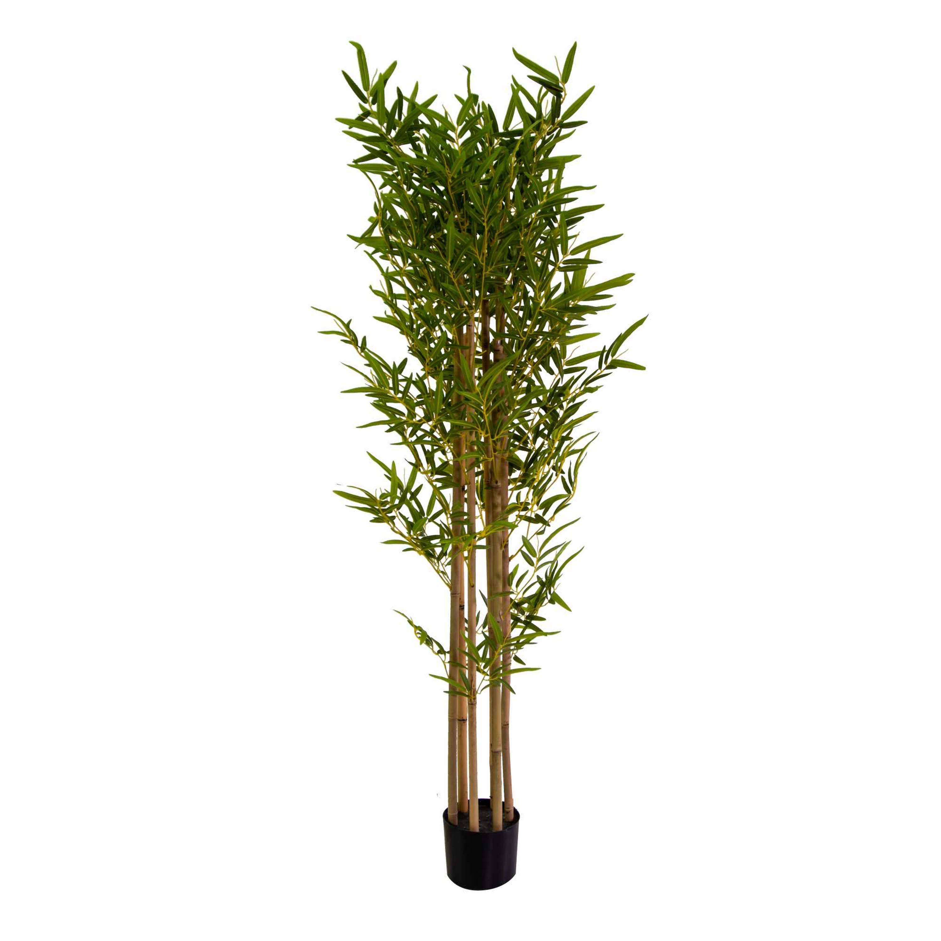 pianta bambù artificiale H150cm