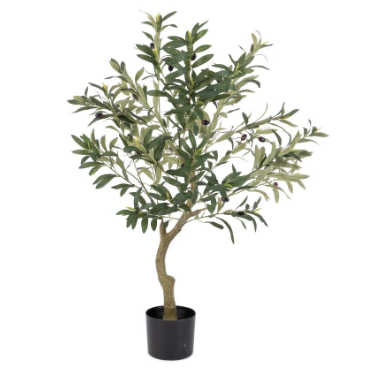 PIANTA ULIVO CON VASO H90 0173147
