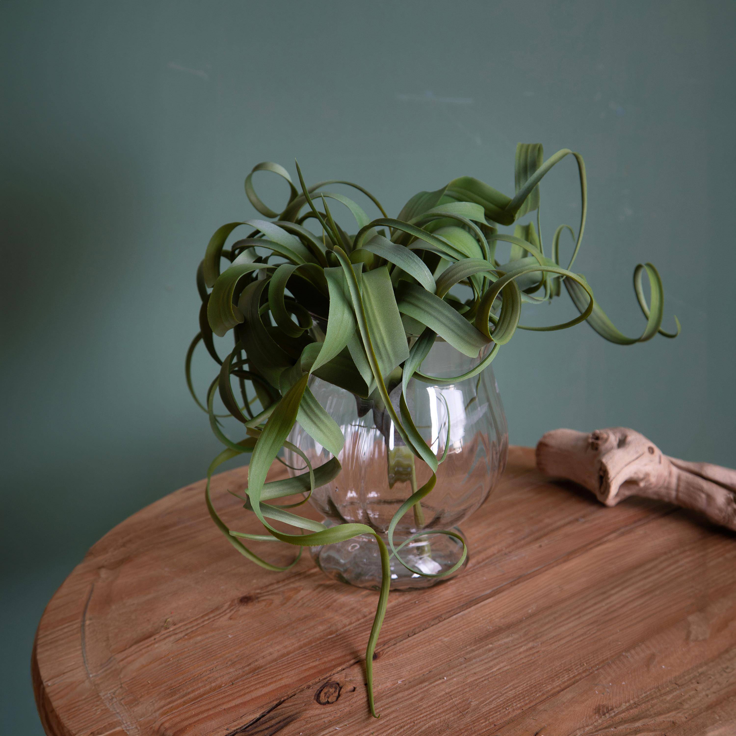 RAMO TILLANDSIA H.30 CM PG003